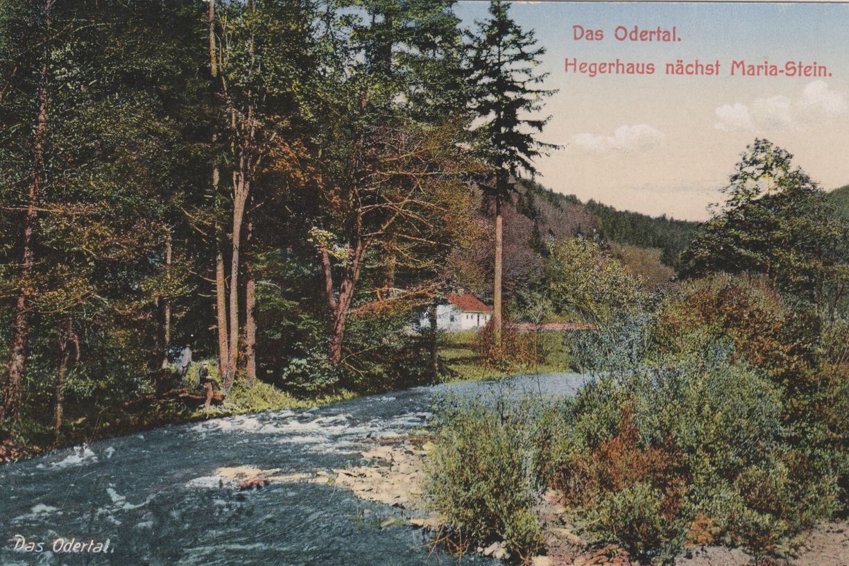 Údolí Odry. Hájovna poblíž poutního místa Maria Stein (dobová pohlednice, 1910). 