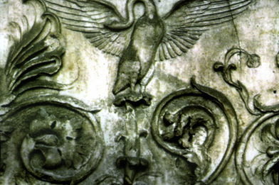 obr. 2: Labuť na vrcholu akantových úponků na ploše s florální výzdobou na vnějších stranách Arae pacis v Římě, stavba schválena roku 13 před Kr. a vysvěcena 30. ledna roku 9 před Kr.