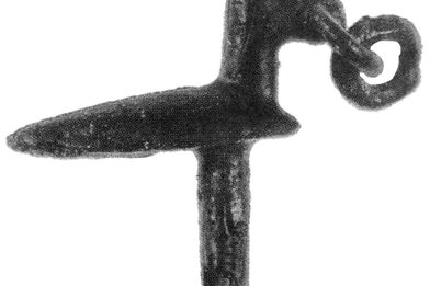 obr. 5: Hlavice železné jehlice v podobě plovoucí kachničky. Žárový hrob 254, pohřebiště przeworské kultury, Kamieńczyk v polském Mazovsku, stupeň B2/C1 starší doby římské (druhá polovina 2. století po Kr).