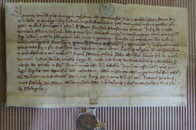 První písemná zmínka o Frenštátu pod Radhoštěm z roku 1382