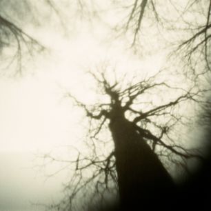 Hrabětický les (Obstwald)
Camera obscura, Andere Seite Studio Litoměřice (2014)